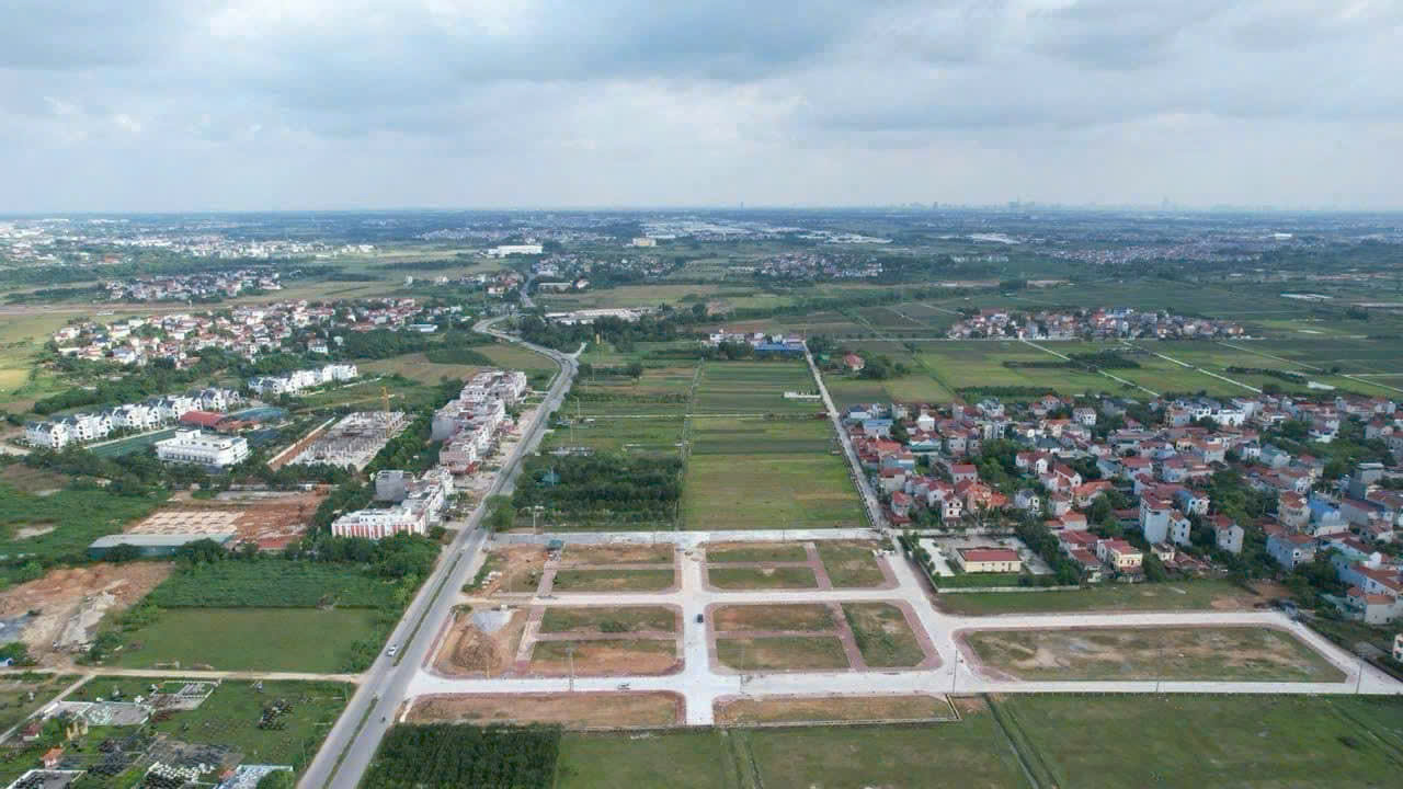 dau gia bach da kim hoa 1