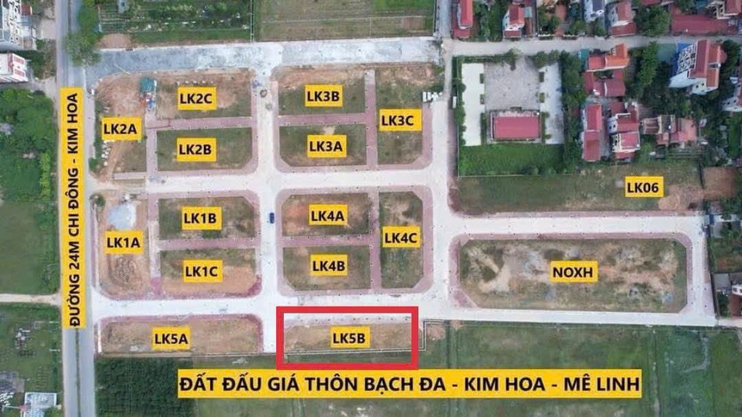 dau gia bach da kim hoa 4
