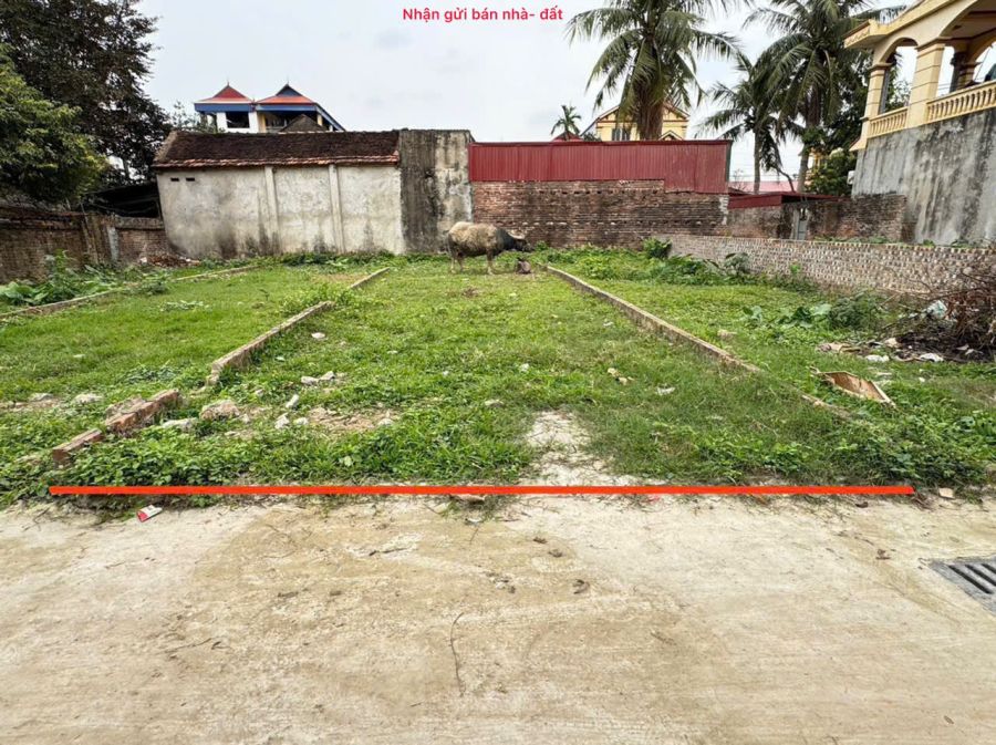 Chưa đến 2 tỷ lô đất 62,4m full thổ cư Thanh Lâm, Mê Linh 3 duc hau 2