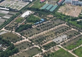 Biệt Thự Lô Góc Đường 24m Hoàng Vân Mê Linh