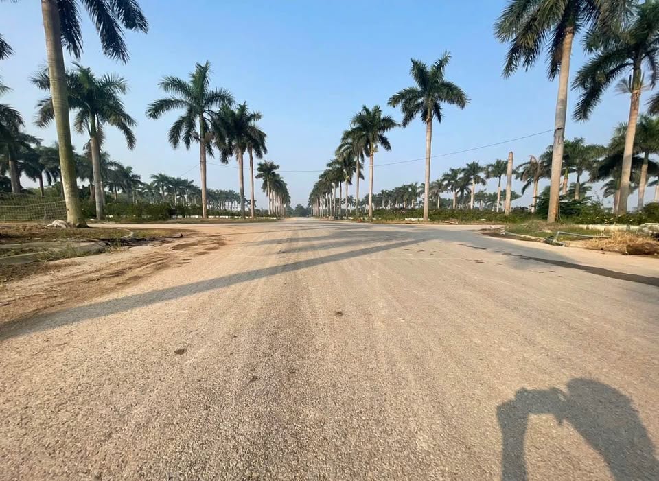 hinh anh thuc te hoang van